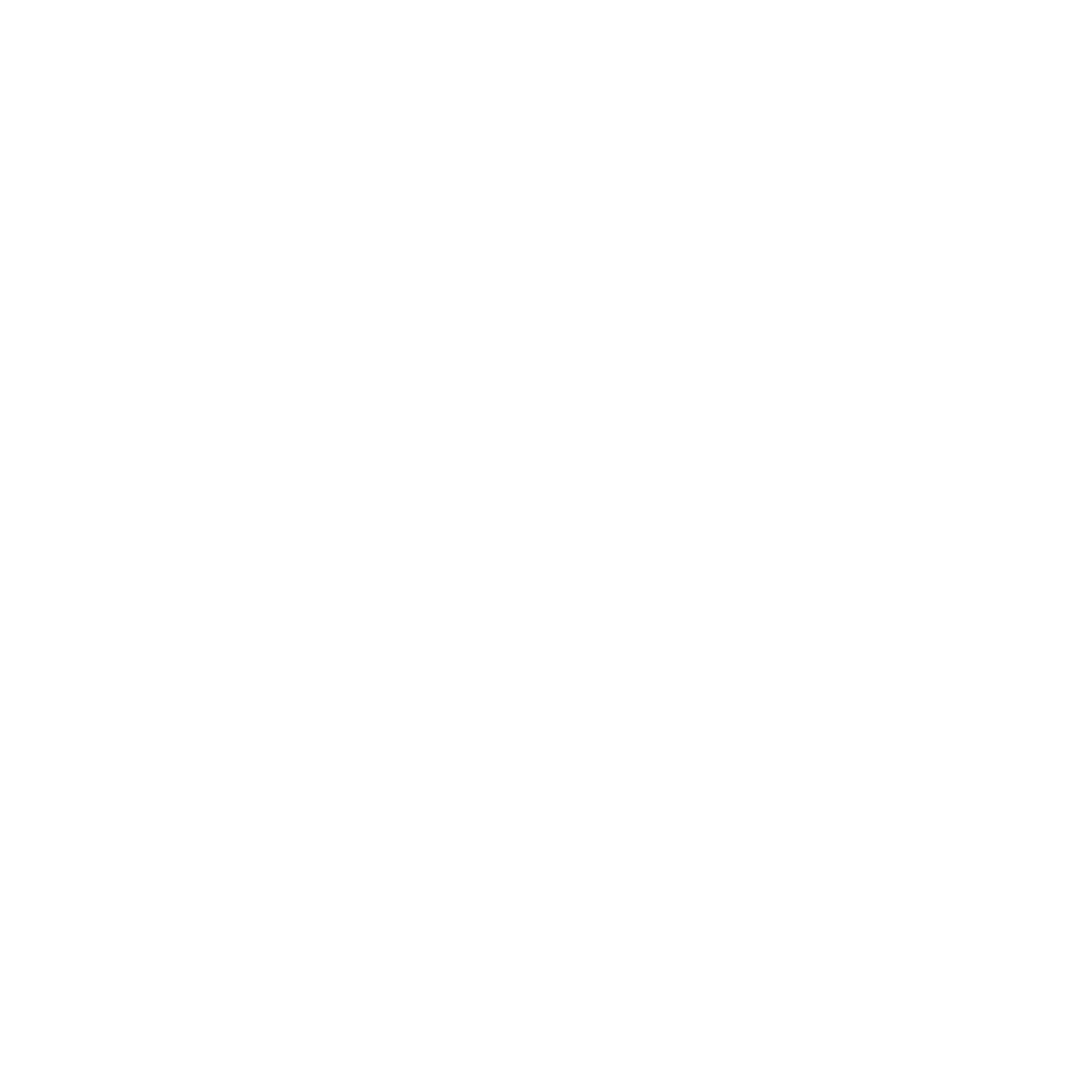 U.S. Embassy Cairo